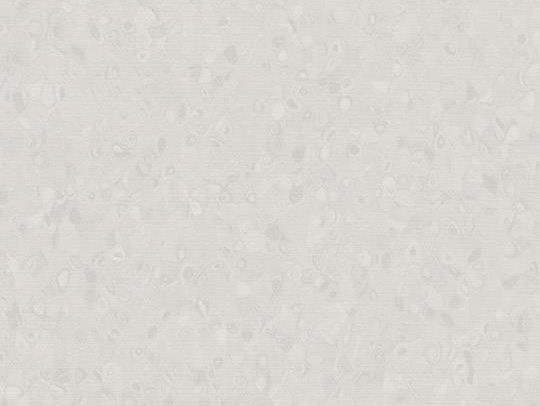 180796 50002