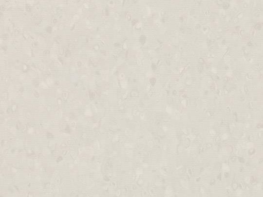 180820 50017