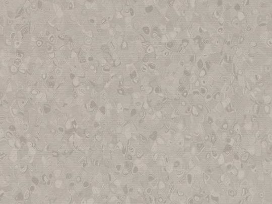 180832 50029 1