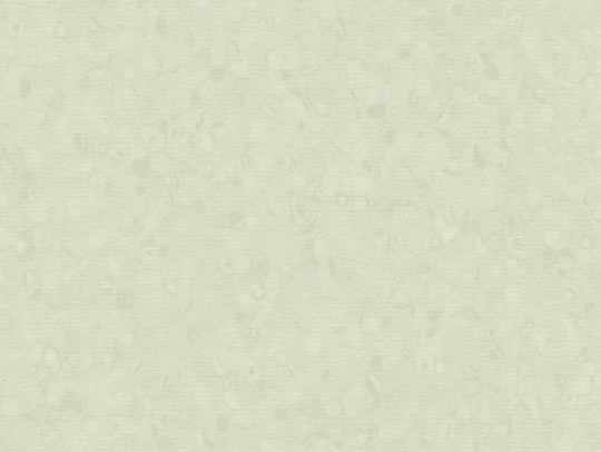 180850 50047