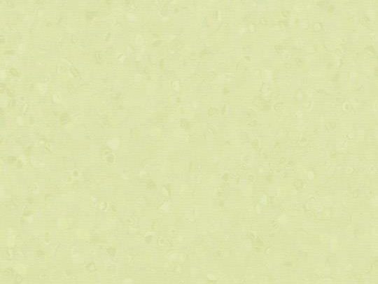 180851 50048