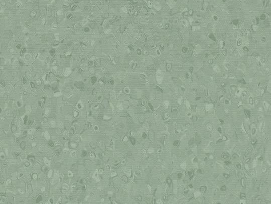 180853 50050