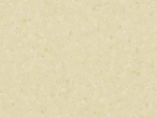 180855 50052