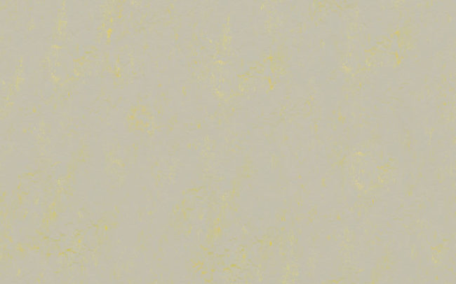 Marmoleum Concrete  3733 yellow shimmer