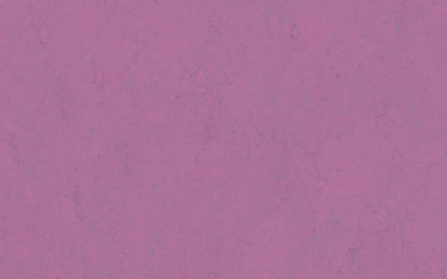 Marmoleum Concrete  3740 purple glow