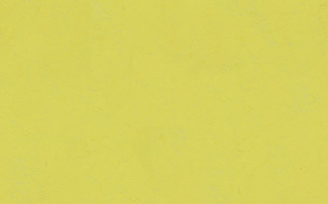 Marmoleum Concrete  3741 yellow glow