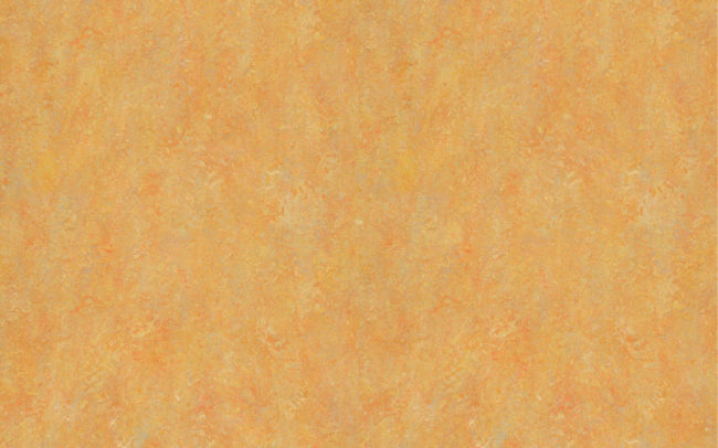 Marmoleum Vivace  3411 sunny day