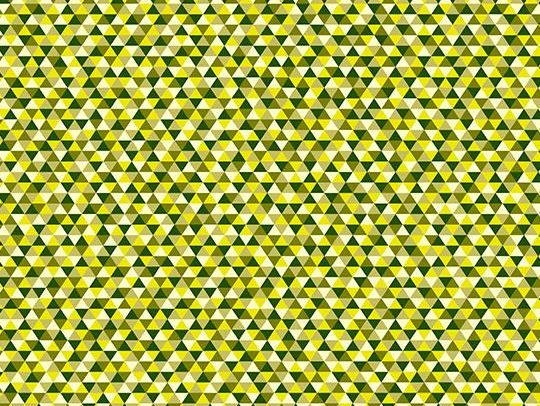 170835 890004