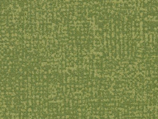 210335 p946019