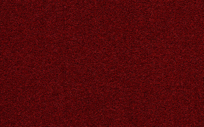 Coral Bright  2603 vivid earth scaled