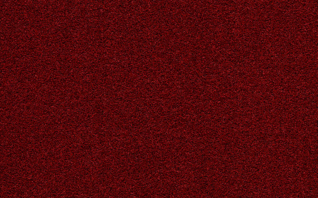 Coral Bright  2603 vivid earth scaled