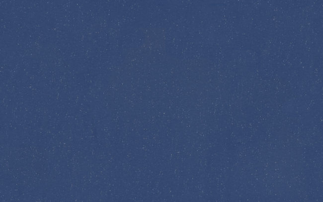 Eternal Colour  40232 night scaled