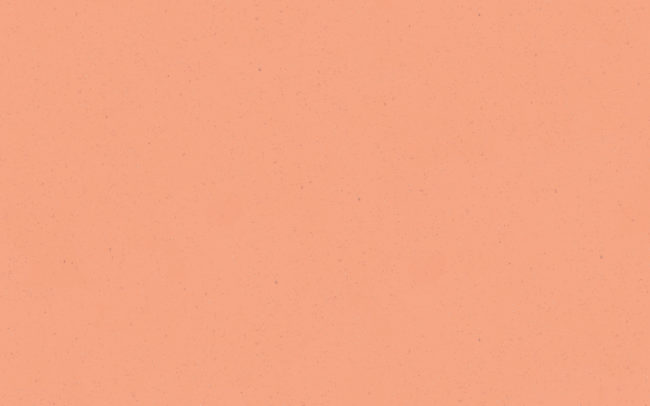 Eternal Colour  40242 pink coral scaled