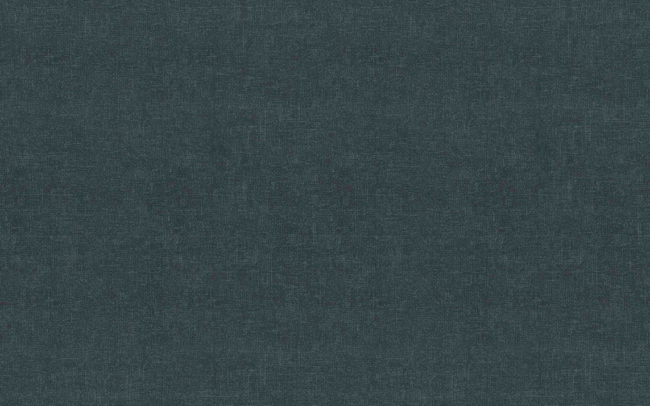 Flotex Colour sheet s246024 Metro carbon